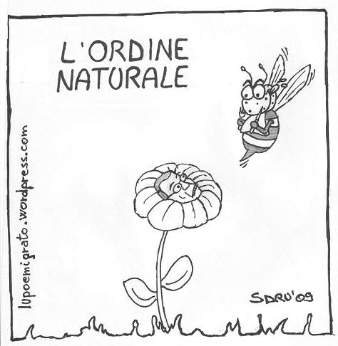 ORDINE NATURALE - vignetta floris vespa ballarò porta a porta